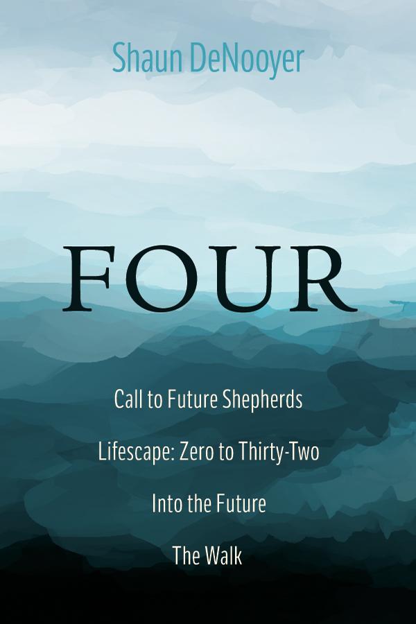 FOUR by Shaun DeNooyer