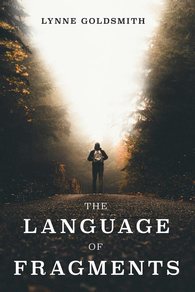 The Language of Fragments by Lynne Goldsmith