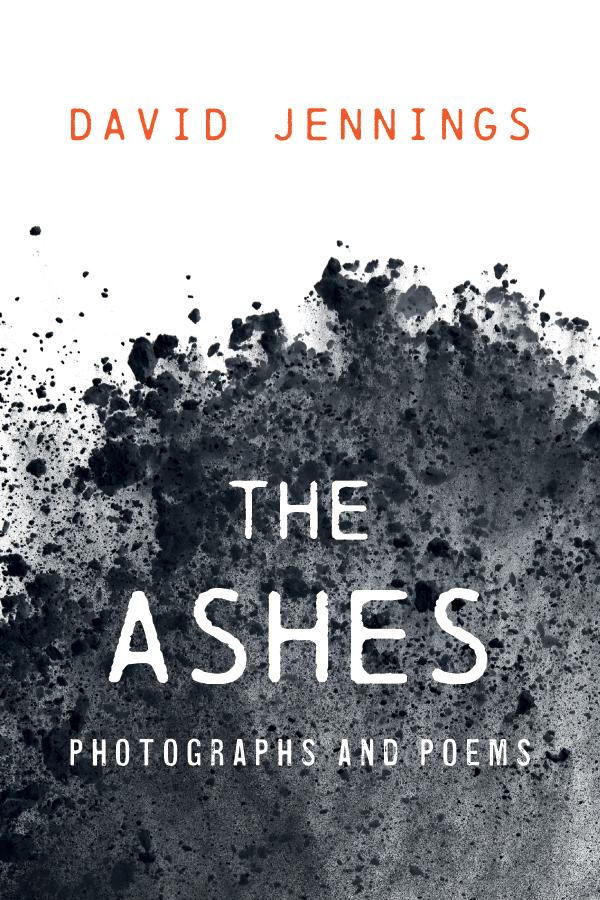 The Ashes by David Jennings
