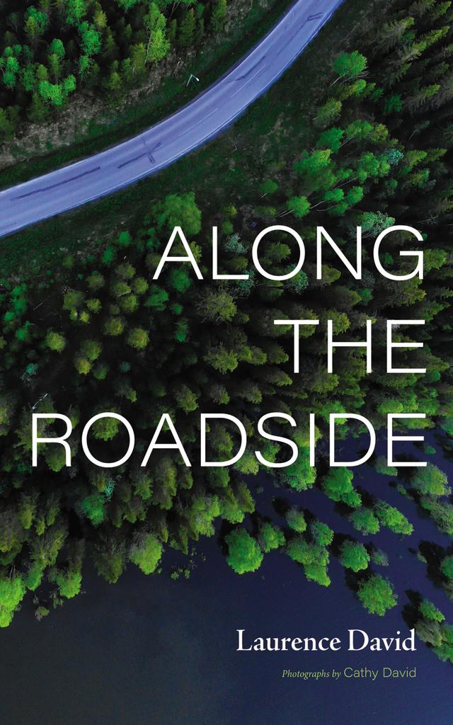 Along the Roadside by Cathy David, Laurence David