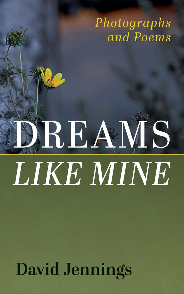 Dreams Like Mine by David Jennings