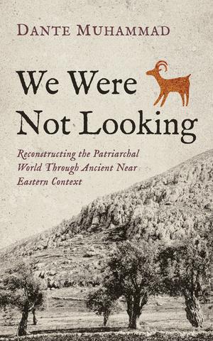 We Were Not Looking