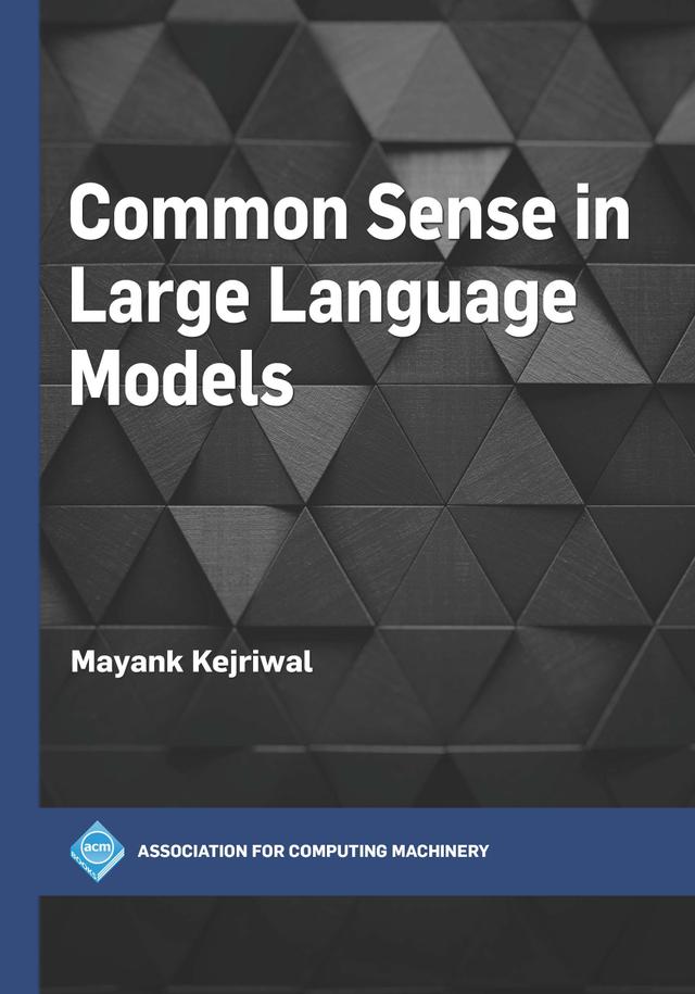 Common Sense in Large Language Models by Mayank Kejriwal