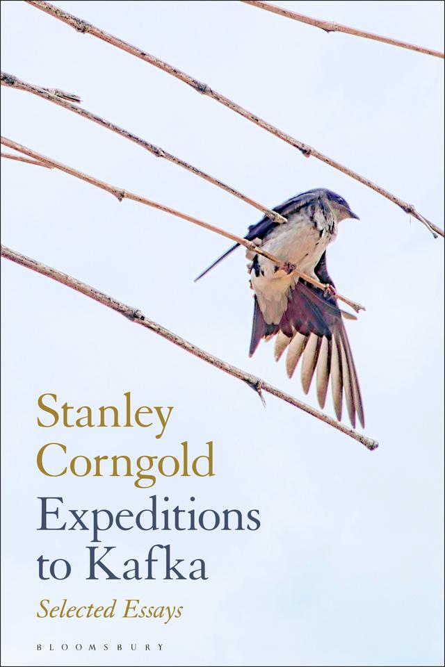 Expeditions to Kafka by Stanley Corngold