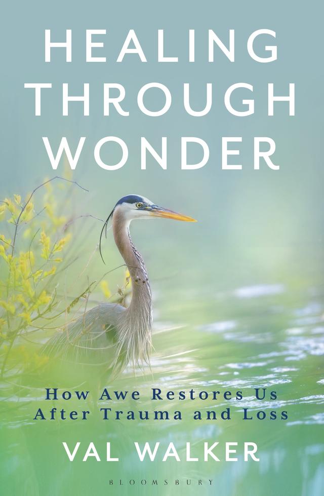 Healing Through Wonder by Val Walker