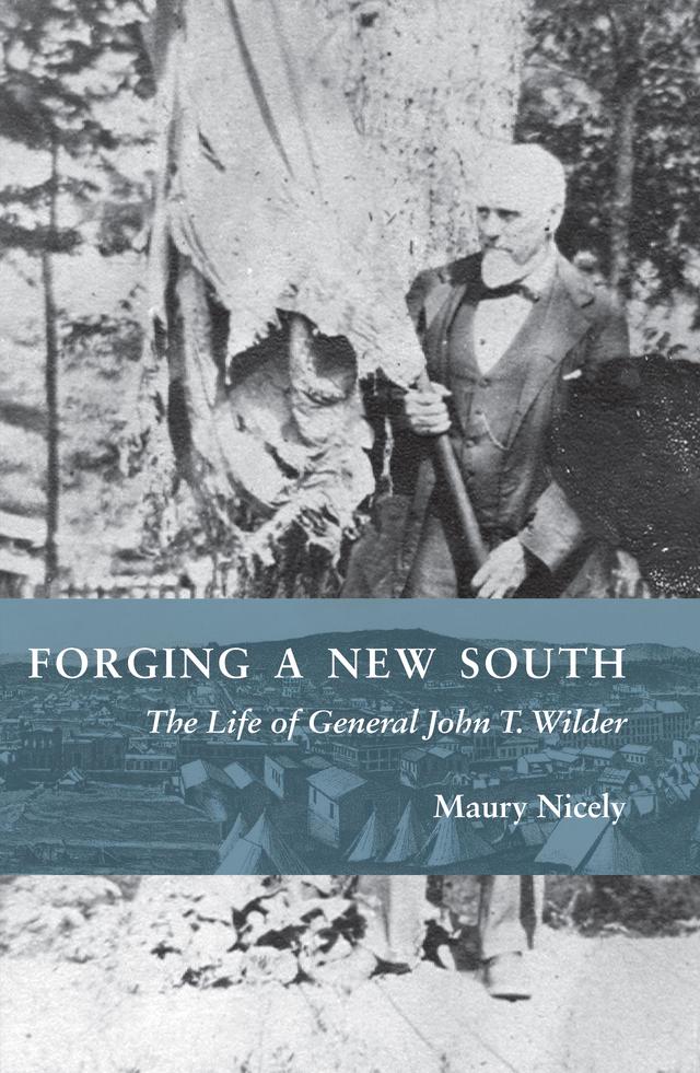 Forging a New South by Maury Nicely